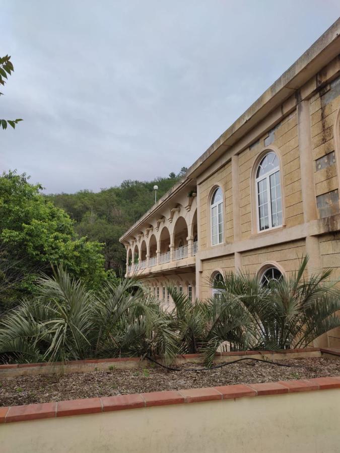 Joli Studio Du Vallespir Amélie-les-Bains-Palalda Dış mekan fotoğraf